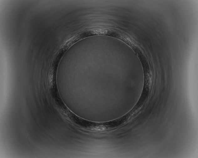 X0000087410600200705041249