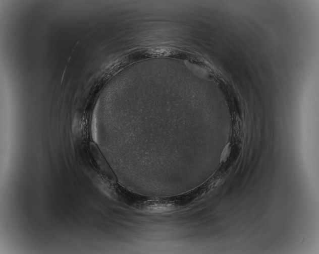 X0000087410601200705041249