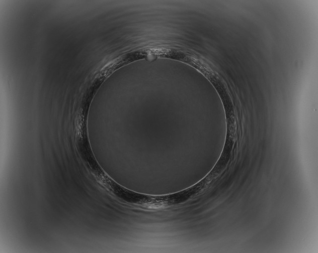 X0000087410604200705041249