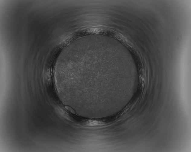 X0000087410605200705041249