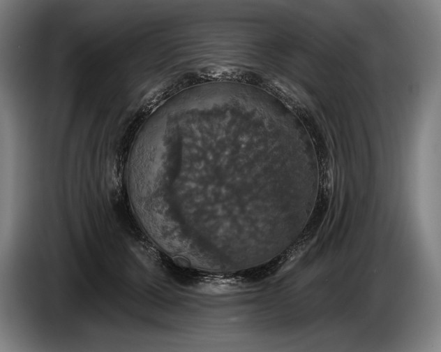 X0000087410607200705041249