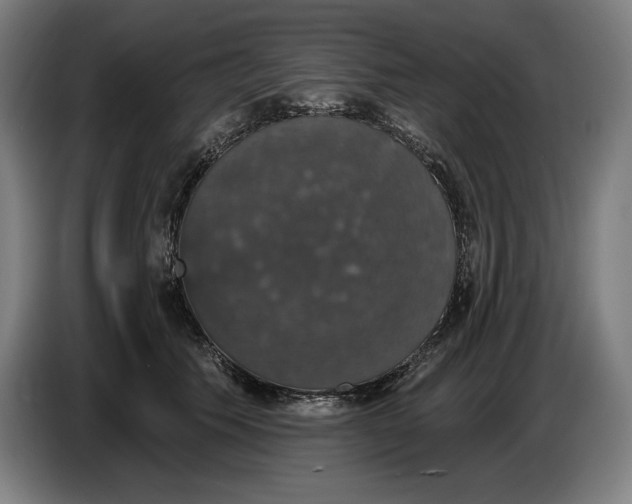 X0000087410609200705041249