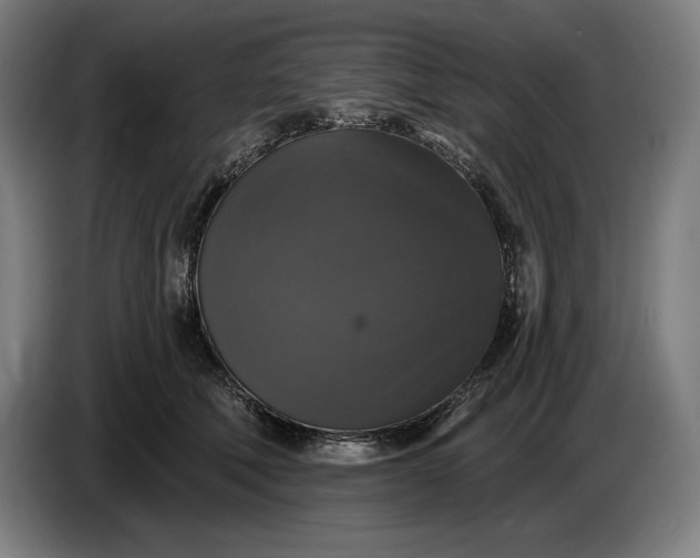 X0000087410610200705041249