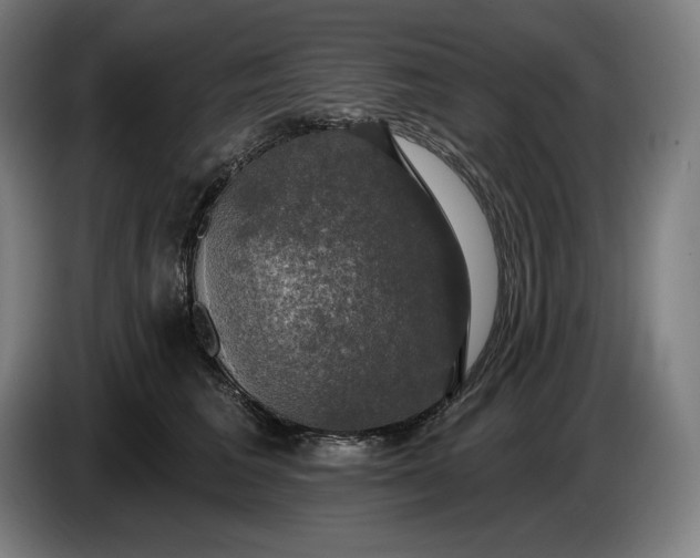 X0000087410613200705041249