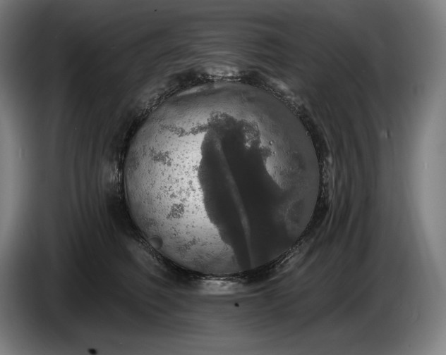 X0000087410614200705041249