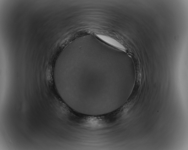 X0000087410616200705041249