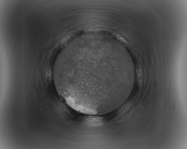 X0000087410617200705041249