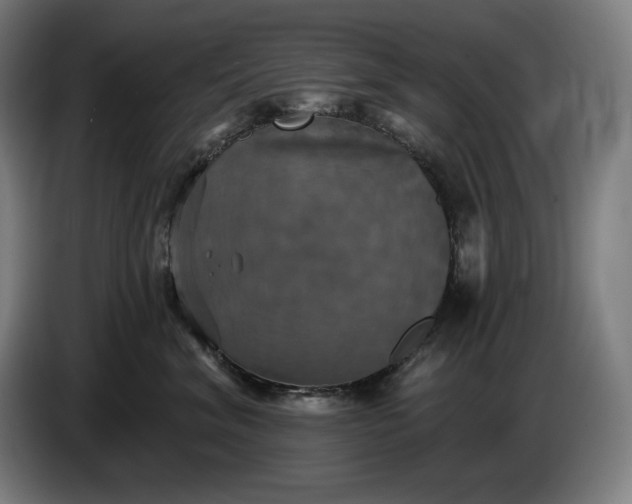 X0000087410620200705041249