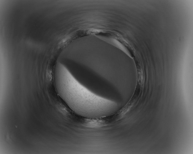 X0000087410621200705041249