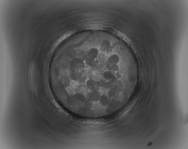 X0000087410625200705041248