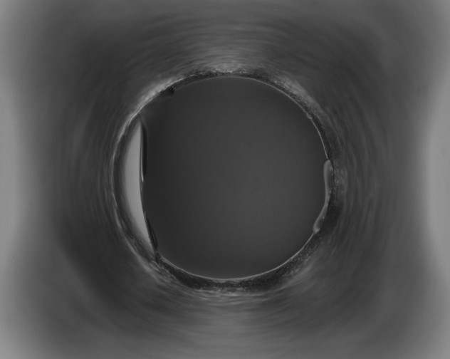 X0000087410626200705041248