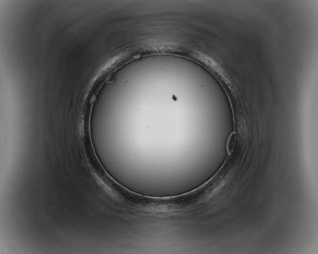 X0000087410629200705041248