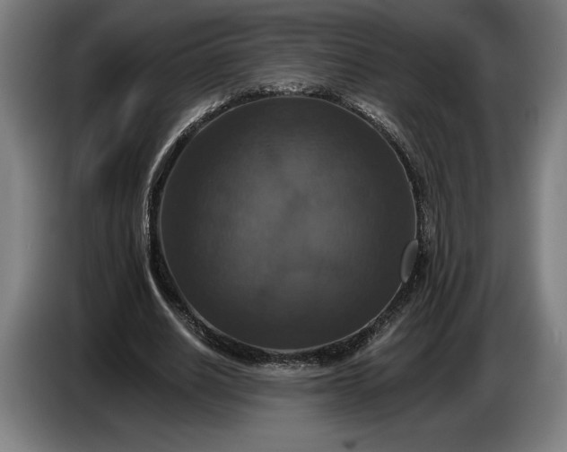 X0000087410630200705041248