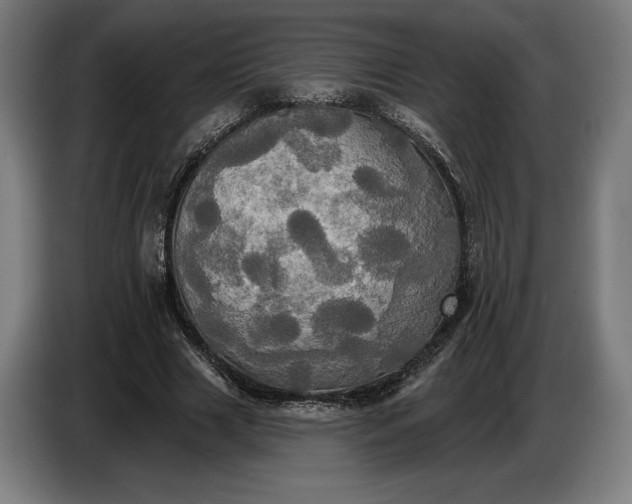 X0000087410633200705041248