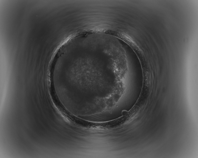 X0000087410634200705041248