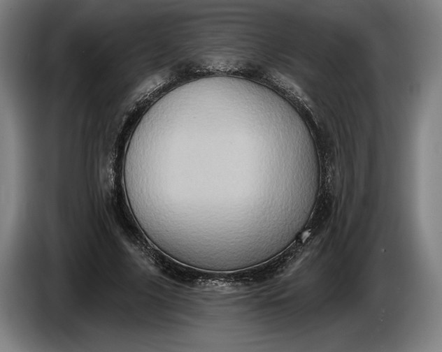 X0000087410635200705041248