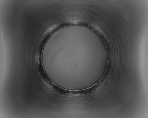 X0000087410640200705041248