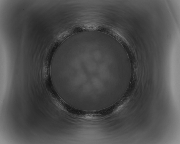 X0000087410641200705041249