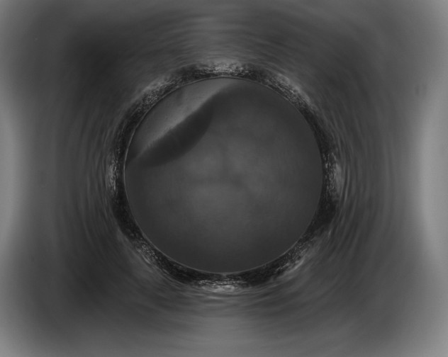 X0000087410643200705041249