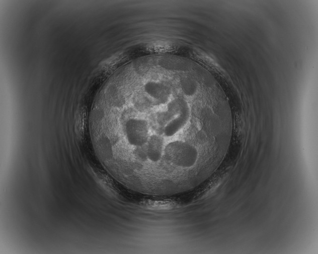 X0000087410645200705041249