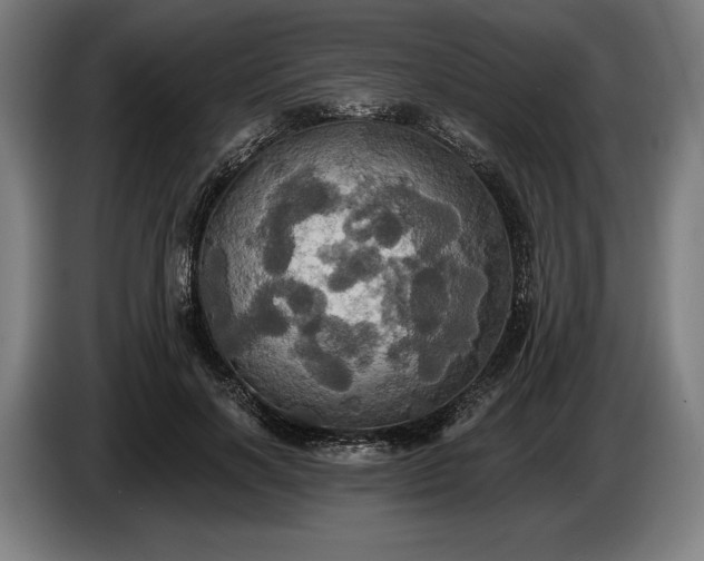 X0000087410646200705041249