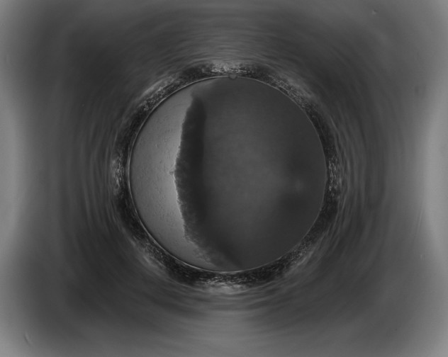 X0000087410648200705041249