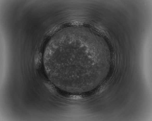 X0000087410649200705041249