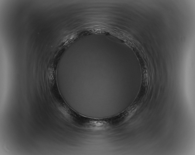 X0000087410654200705041249