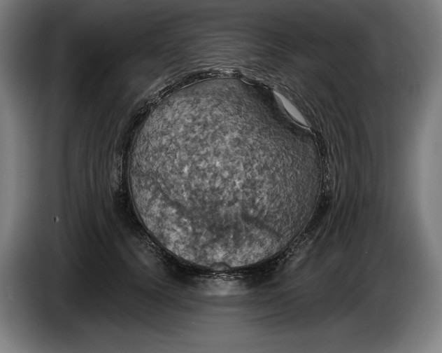 X0000087410656200705041249