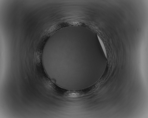 X0000087410658200705041249