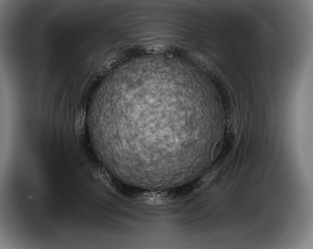 X0000087410660200705041249