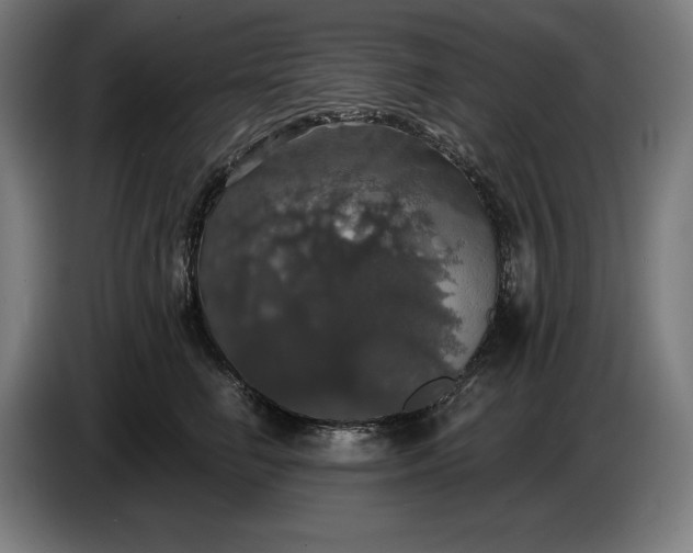 X0000087410662200705041249