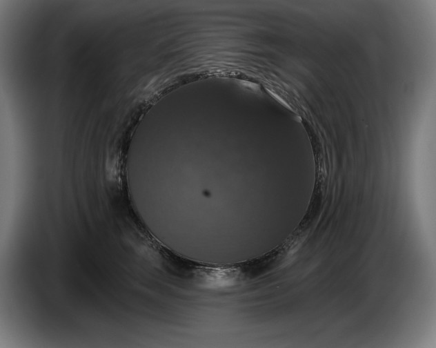 X0000087410663200705041249