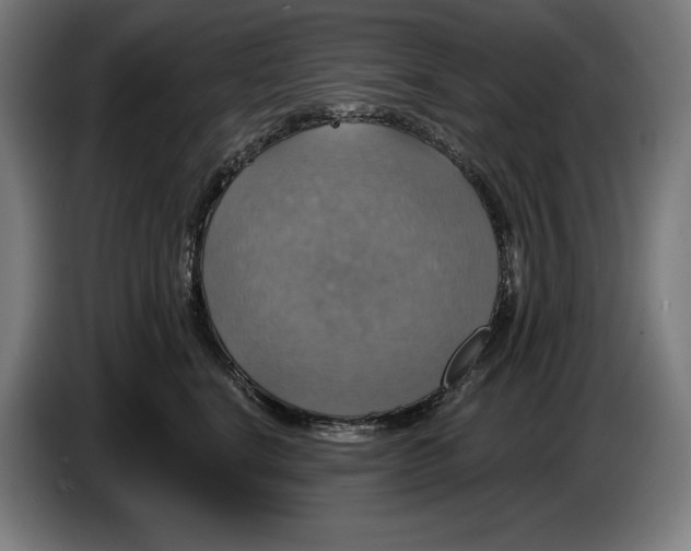 X0000087410664200705041249