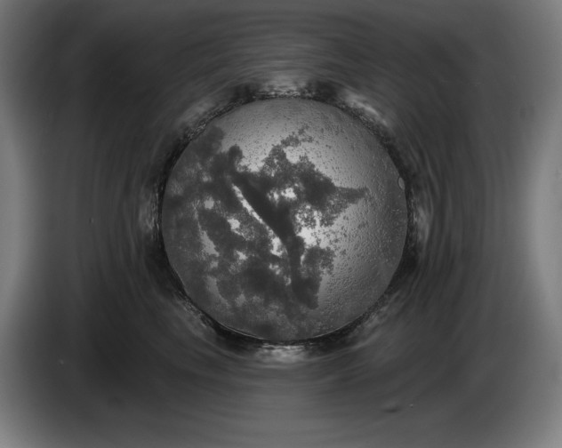 X0000087410665200705041249