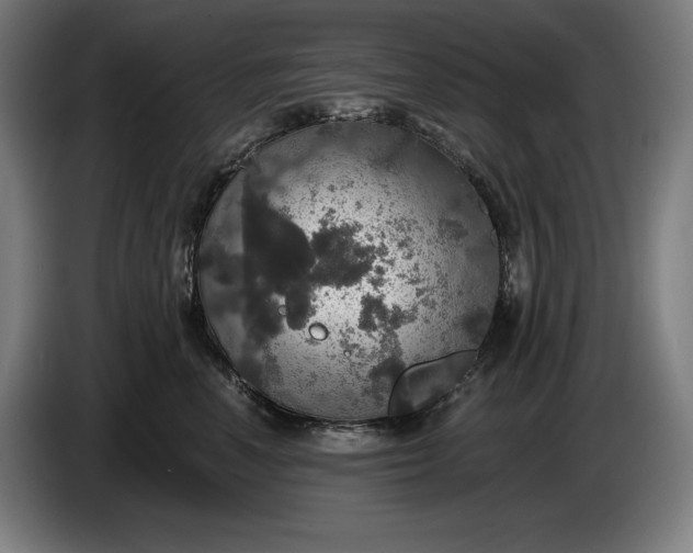 X0000087410666200705041249