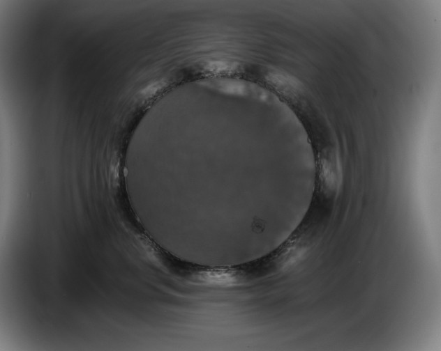 X0000087410668200705041249