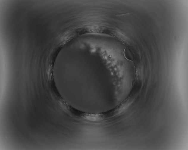 X0000087410671200705041249