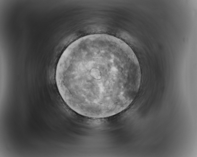 X0000087410672200705041249