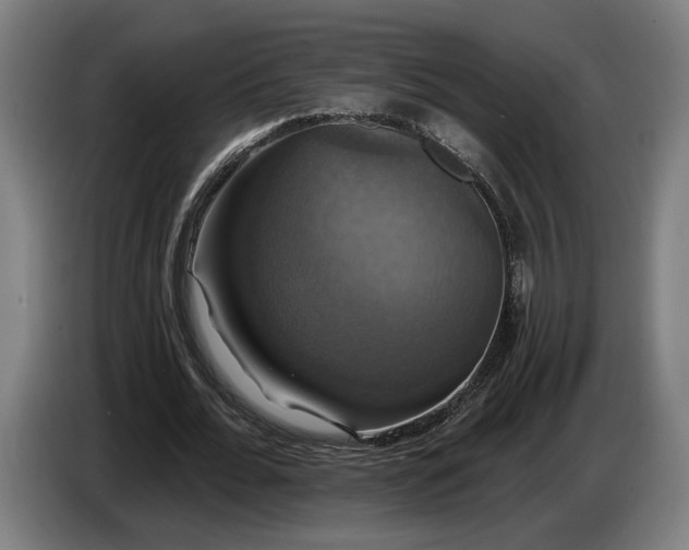 X0000087410676200705041248