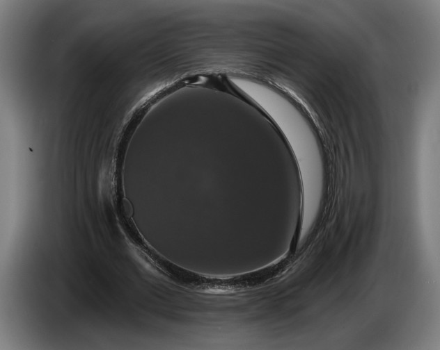 X0000087410677200705041248