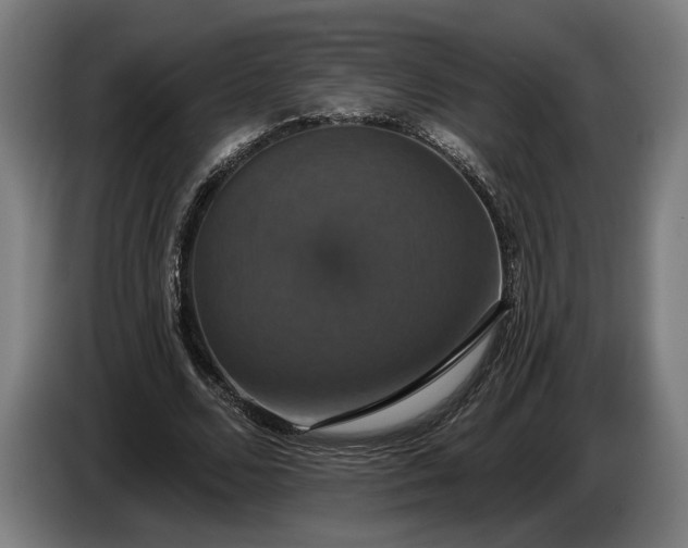 X0000087410680200705041248