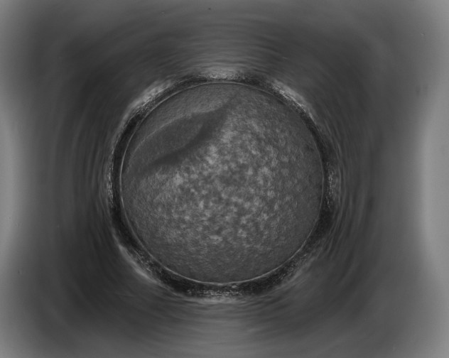 X0000087410682200705041248