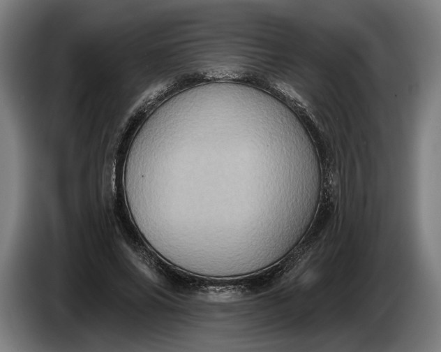 X0000087410686200705041248