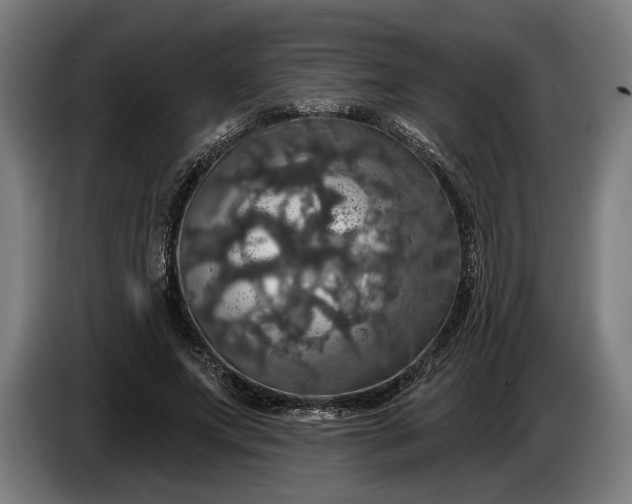 X0000087410687200705041248