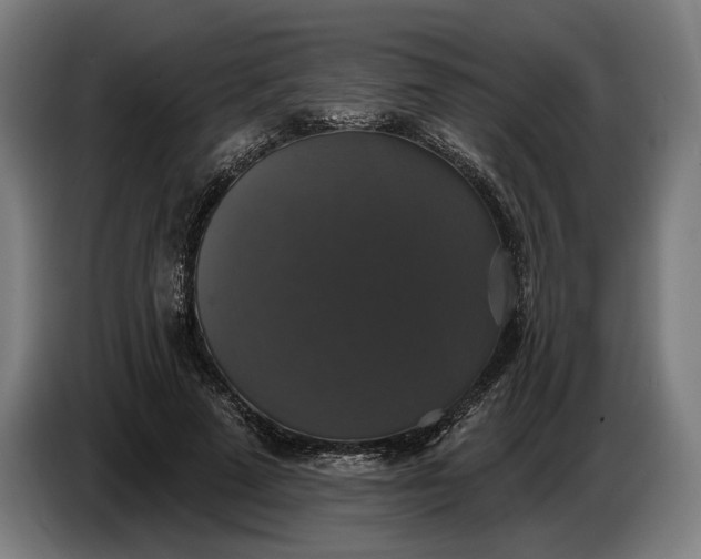 X0000087410689200705041248