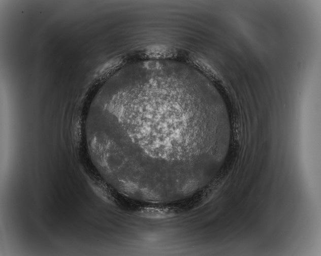 X0000087410690200705041248