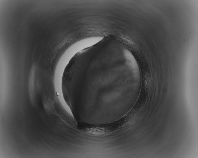 X0000087410691200705041248