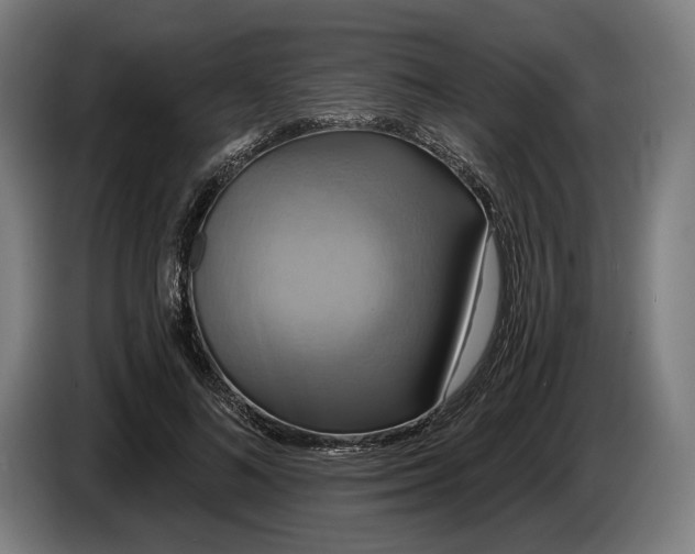 X0000087410692200705041248