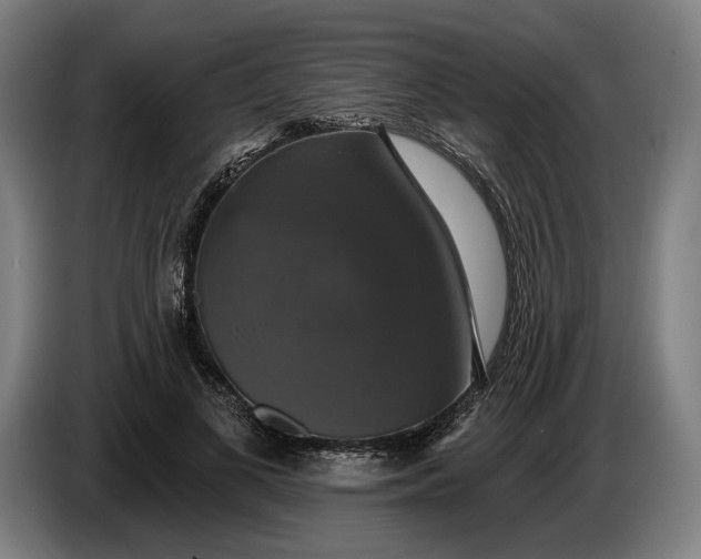 X0000087410693200705041248